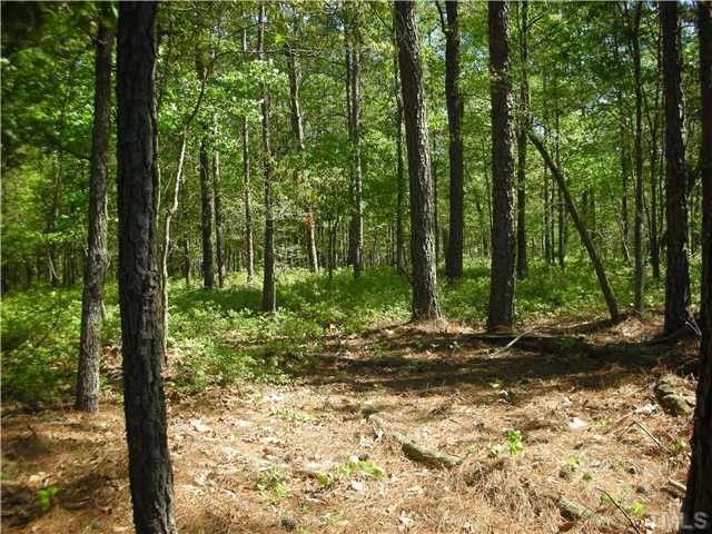00 Pea Ridge Rd, New Hill, NC 27562