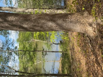 00 Peninsula Dr, Henderson, NC 27537