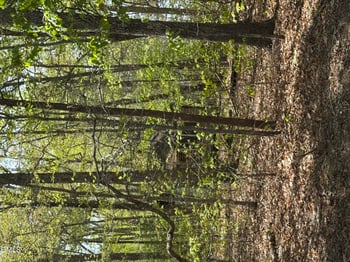 00 Peninsula Dr, Henderson, NC 27537