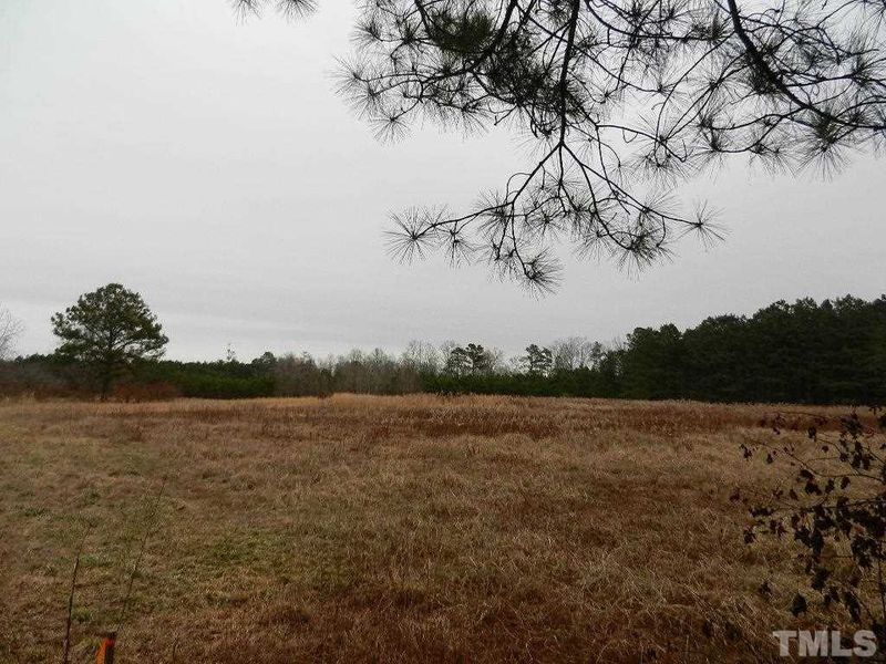 00 Pilot Riley Rd Lot 1B, Zebulon, NC 27597