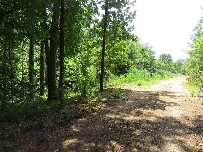 00 Robinson Ln, Angier, NC 27501