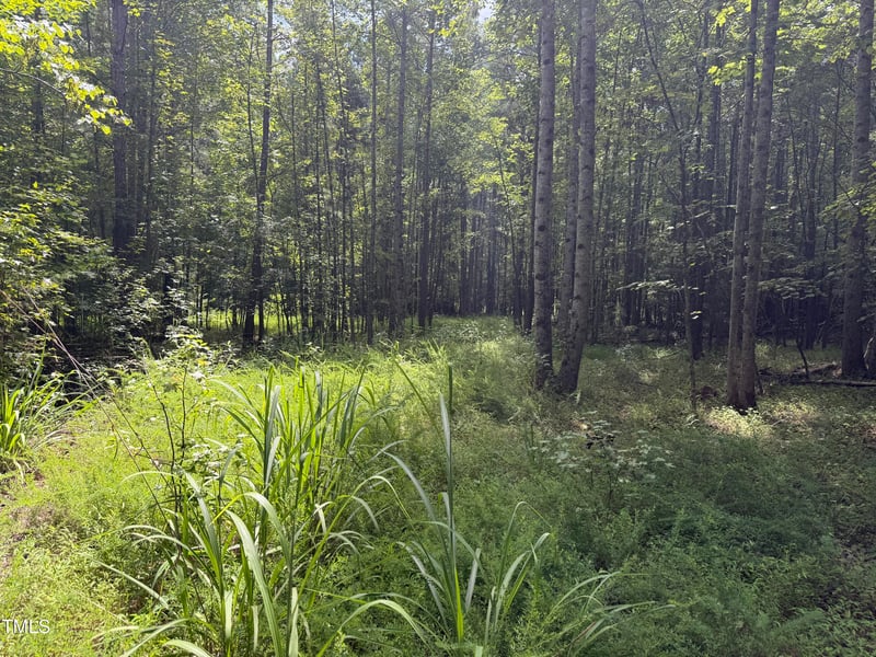 00 Stonehouse Ct, Franklinton, NC 27525