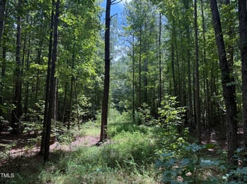 00 Stonehouse Ct, Franklinton, NC 27525