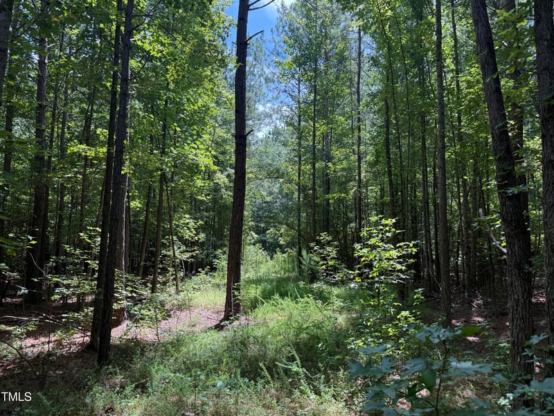 00 Stonehouse Ct, Franklinton, NC 27525