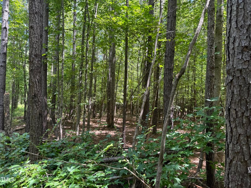 00 Stonehouse Ct, Franklinton, NC 27525