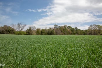 00 Tatum Rd, Roxboro, NC 27574