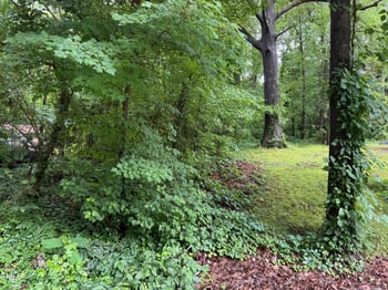 00 Thomas St, Henderson, NC 27536