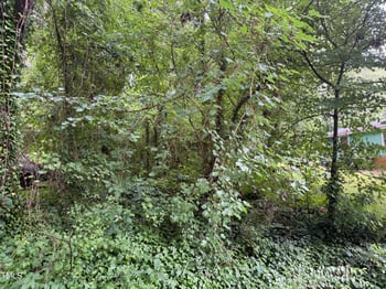 00 Thomas St, Henderson, NC 27536