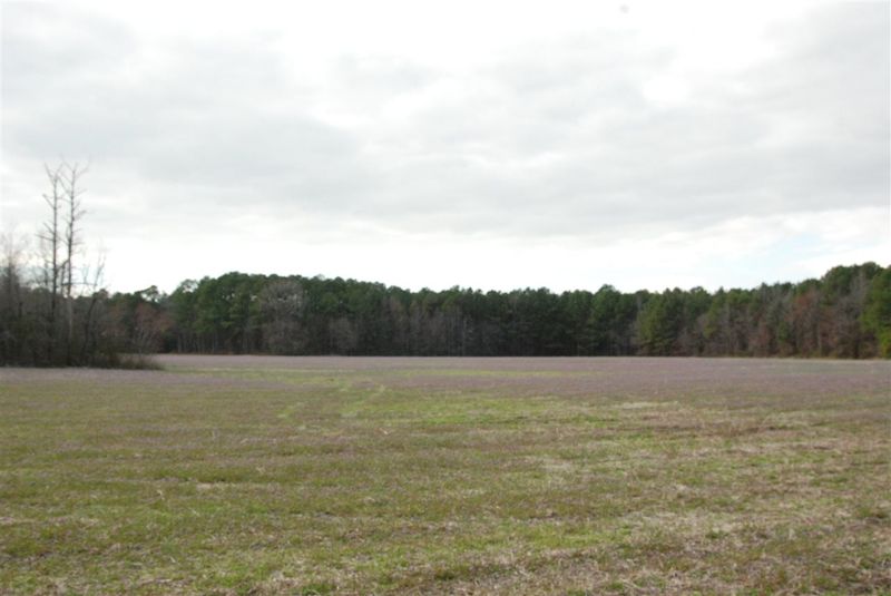 00 Timothy Rd, Dunn, NC 28334