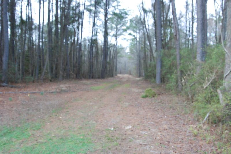 00 Timothy Rd, Dunn, NC 28334