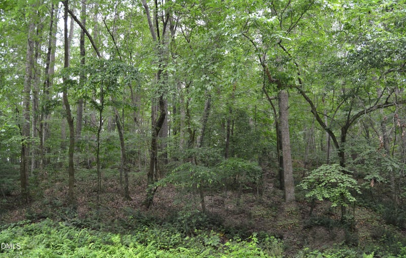00 Tom Wright Rd, Franklinton, NC 27525