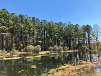 00 Wildberry Rd, Smithfield, NC 27577