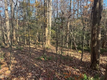 00 Williams Rd, Zebulon, NC 27597