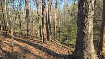 00 Woody , Oxford, NC 27565