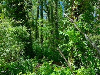 00 Young Ave, Henderson, NC 27536