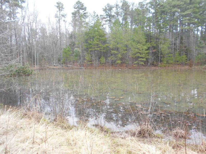 000 Arthur L Hearne Rd, Pittsboro, NC 27312