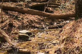 000 Ferguson Rd, Chapel Hill, NC 27516