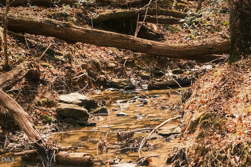 000 Ferguson Rd, Chapel Hill, NC 27516