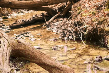 000 Ferguson Rd, Chapel Hill, NC 27516