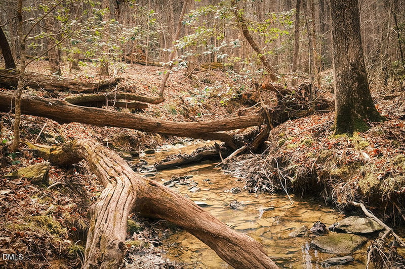000 Ferguson Rd, Chapel Hill, NC 27516