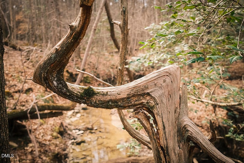 000 Ferguson Rd, Chapel Hill, NC 27516