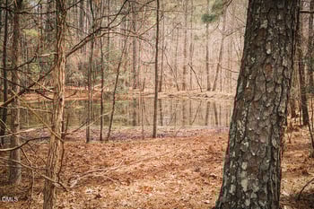 000 Ferguson Rd, Chapel Hill, NC 27516