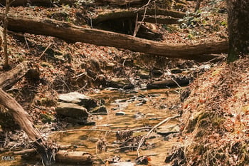 000 Ferguson Rd Lot None, Chapel Hill, NC 27516
