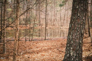 000 Ferguson Rd Lot None, Chapel Hill, NC 27516