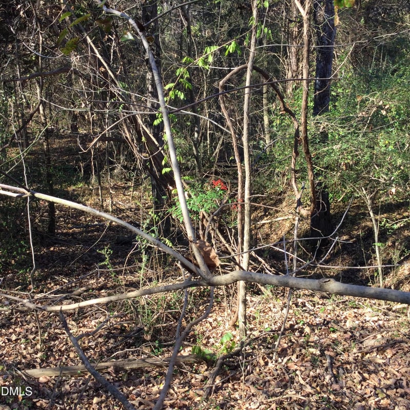 000 Gant Rd Lot 106, 107, Graham, NC 27253