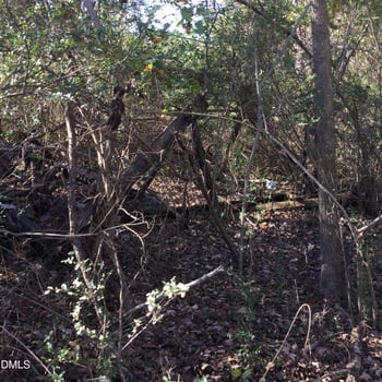 000 Gant Rd Lot 106, 107, Graham, NC 27253