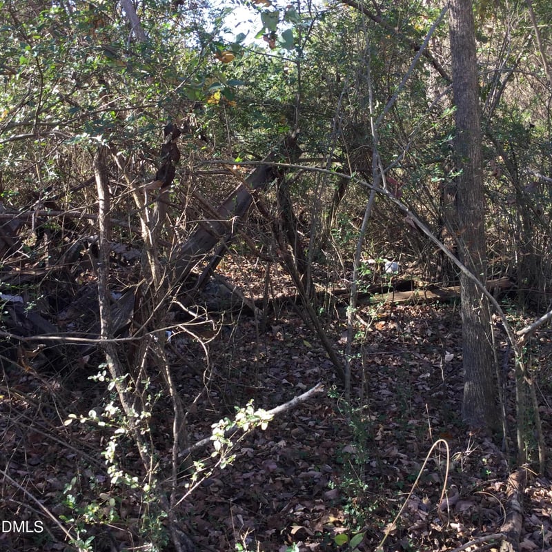 000 Gant Rd Lot 106, 107, Graham, NC 27253