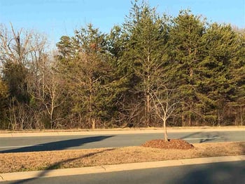000 Grand Oaks Blvd Lot 2, Burlington, NC 27215