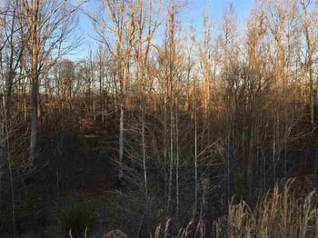 000 Grand Oaks Blvd Lot 2, Burlington, NC 27215