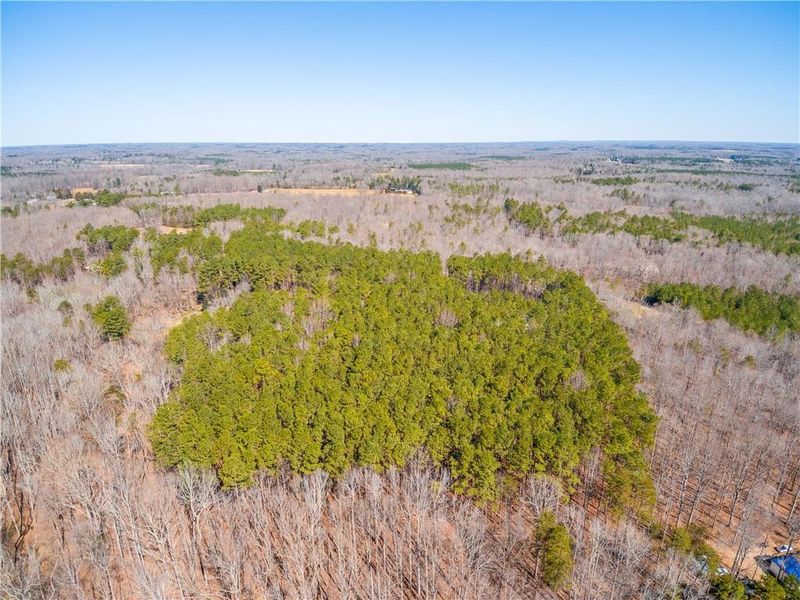 000 Joseph Ct, Hillsborough, NC 27278