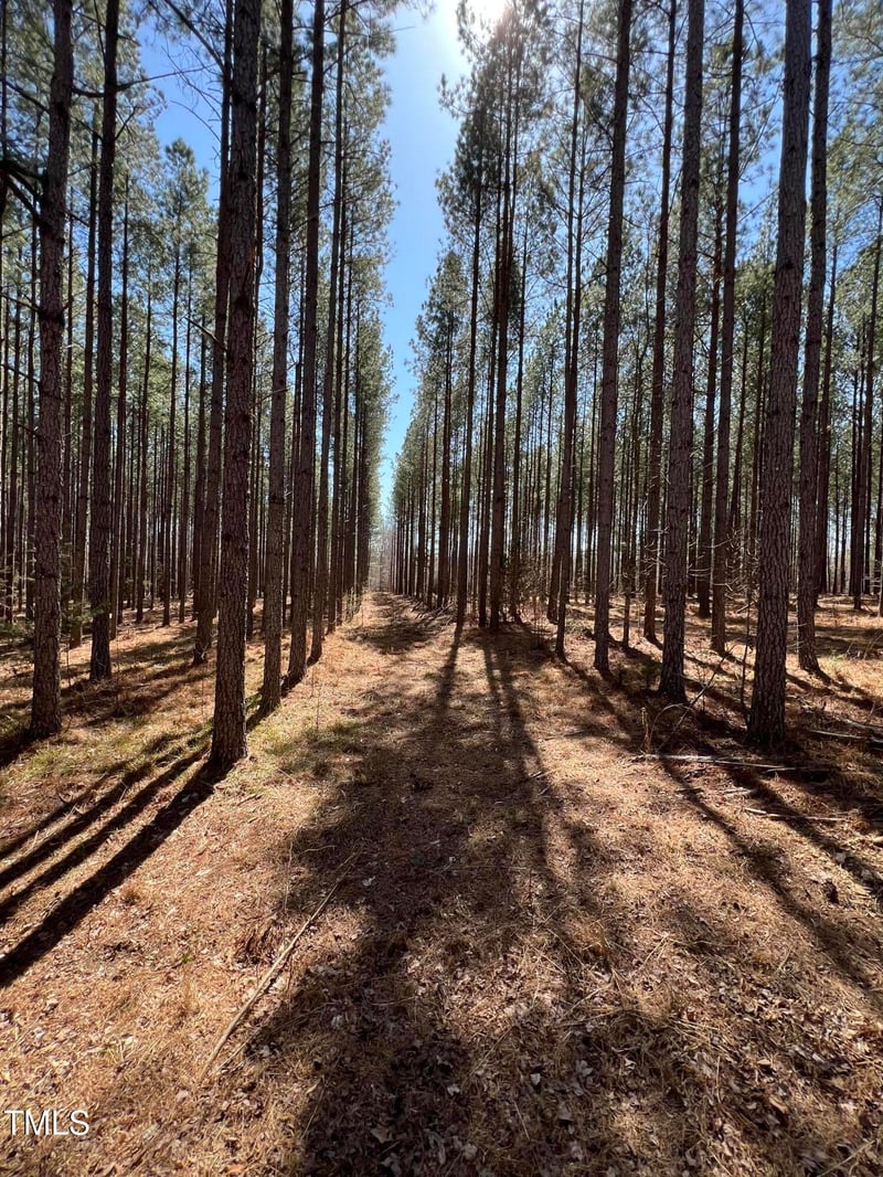 000 Nicks Rd, Mebane, NC 27302