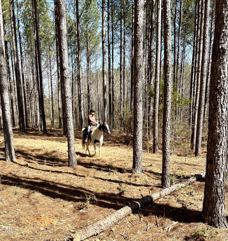 000 Nicks Rd, Mebane, NC 27302