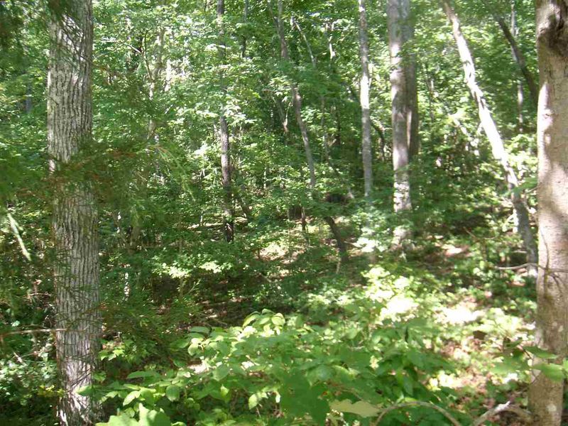000 Pete Roberson Rd Lot 2, Pittsboro, NC 27312