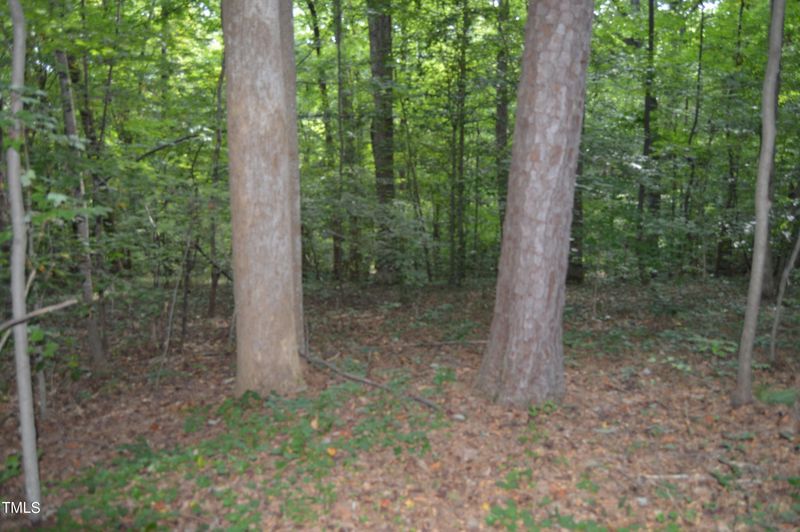 000 Rex Pl Lot 32, Louisburg, NC 27549