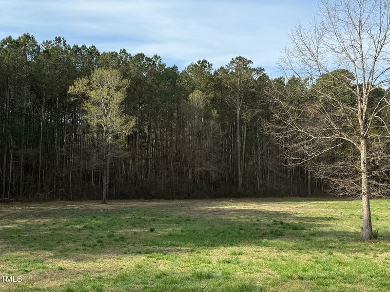 000 Rock Pillar Rd Lot 00, Clayton, NC 27520