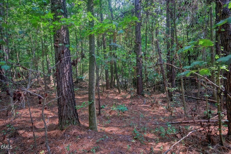000 Rumley Rd Lot 1-B, Graham, NC 27253