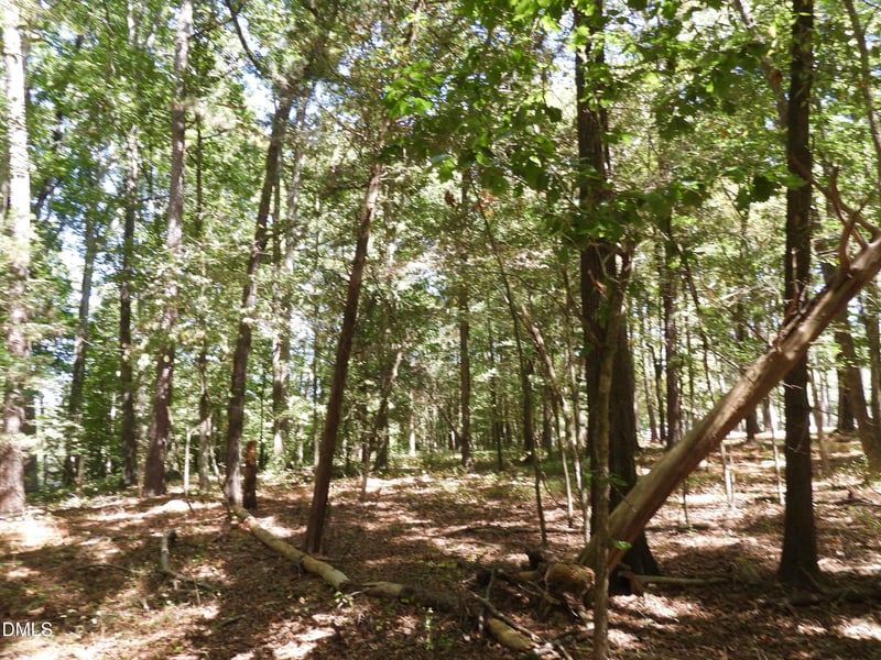 000 Russell Chapel Dr, Pittsboro, NC 27312