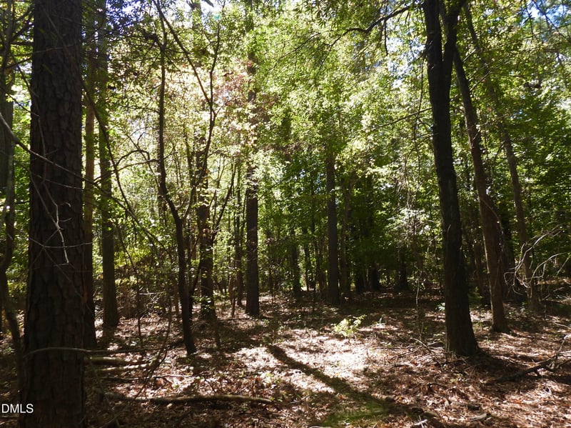 000 Russell Chapel Dr, Pittsboro, NC 27312