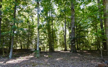 000 Russell Chapel Dr, Pittsboro, NC 27312