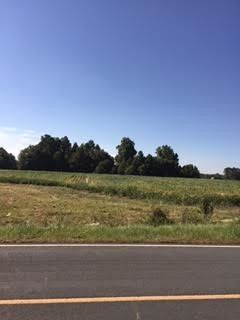 000 SW Tippet Rd Lot Tract #3, Angier, NC 27501