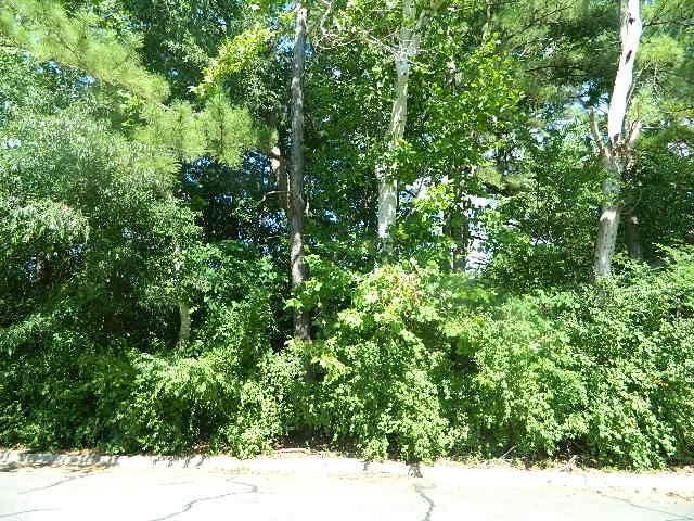 000 Toomer Loop Rd Lot 1.33 acres, Pittsboro, NC 27312