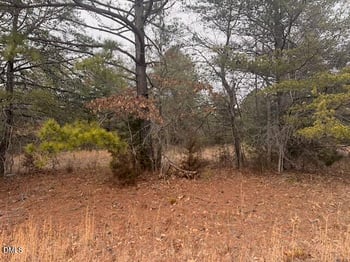 000 Triple Creek Dr, Efland, NC 27243