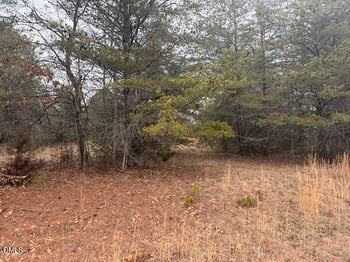 000 Triple Creek Dr, Efland, NC 27243