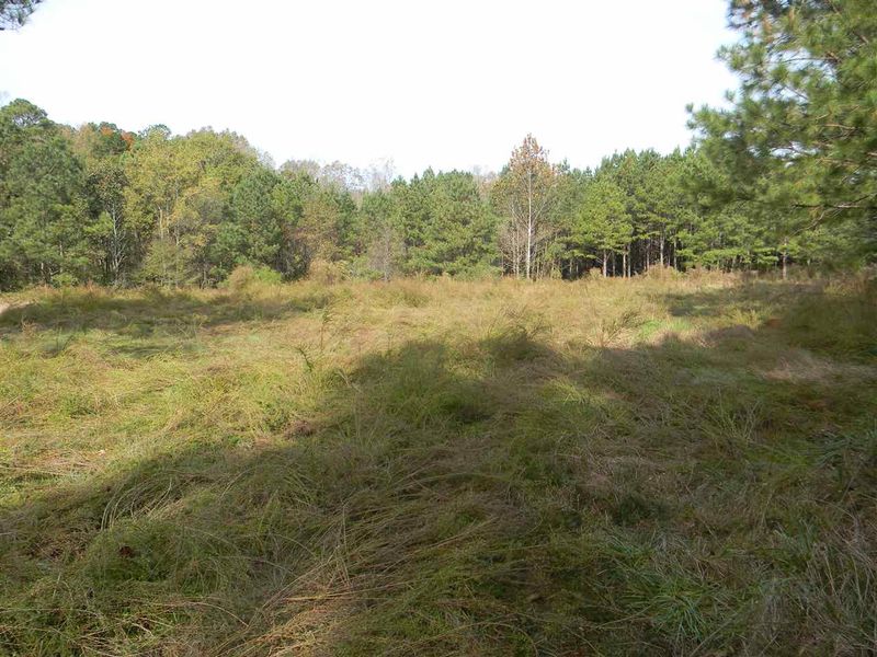 000 Us 64 Hw, Pittsboro, NC 27312
