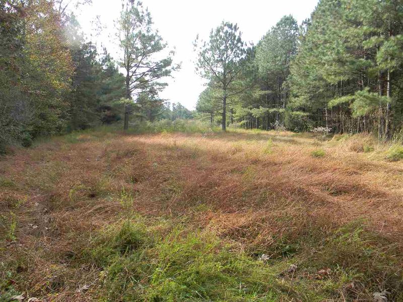 000 Us 64 Hw, Pittsboro, NC 27312