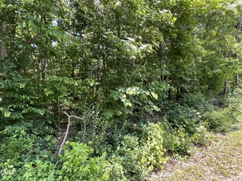 0000-2 Shady Ln Lot 2, Burlington, NC 27217